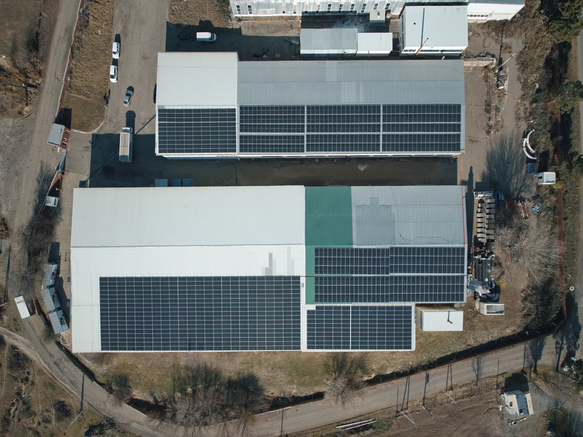 02 ლილო 2.jpg